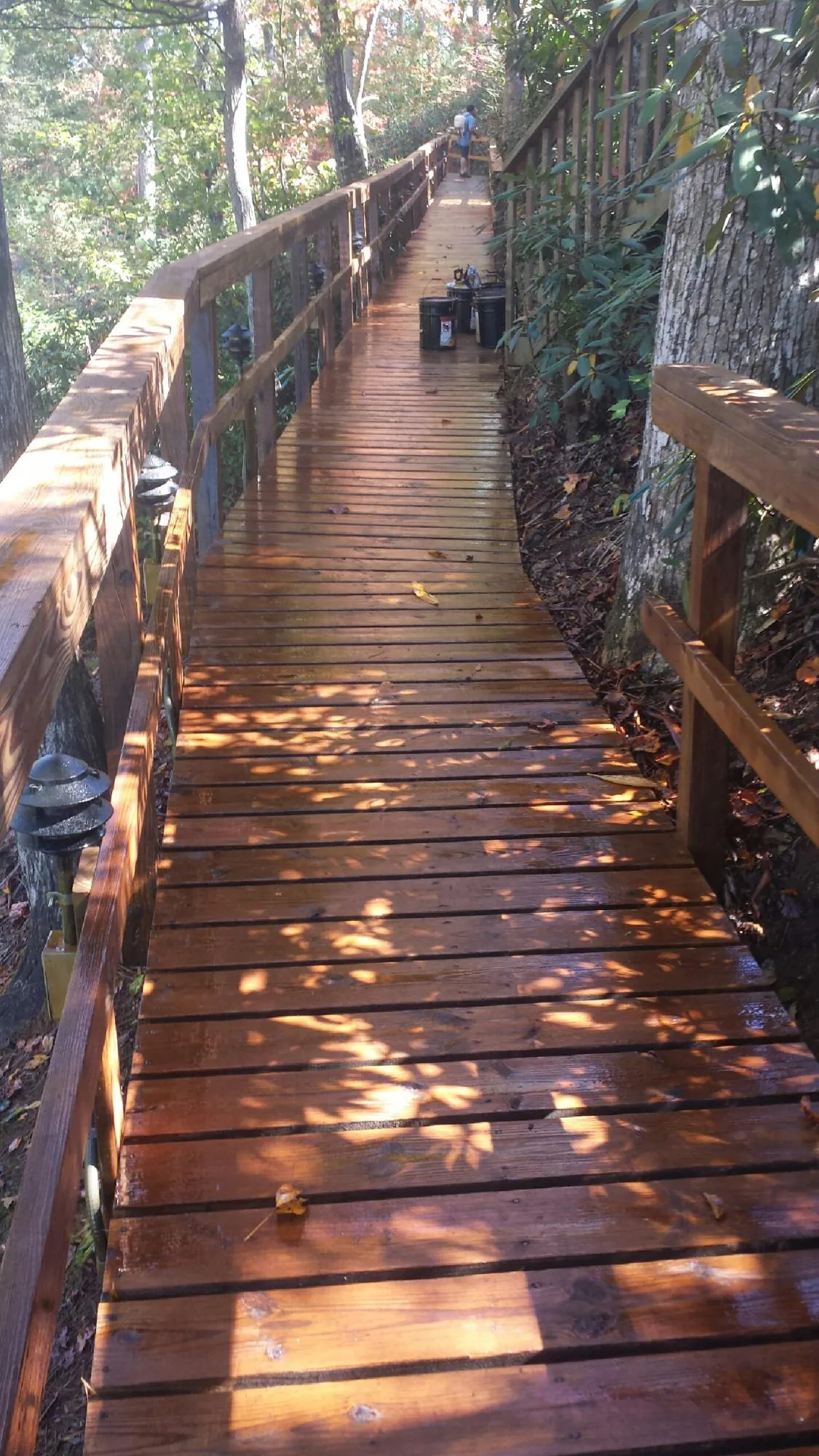 Freshly stained wood walkway winding through the woods in Altoona
